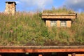 Beautiful roof in Norway Royalty Free Stock Photo