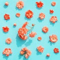 Beautiful rose buds on pastel background with sunlit. Nature concept. Top view. Flat lay