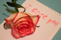 Beautiful rose flower with declaration of love in notebook