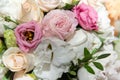 Beautiful rose flowers background Royalty Free Stock Photo