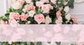 Beautiful rose flowers on a light background. Floral frame in soft colors with white space for text. Art flower background for Royalty Free Stock Photo