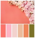 Beautiful rose flowers and space for text on table. Palette with living coral color Royalty Free Stock Photo