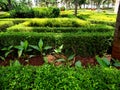 Rose garden arches and path. Royalty Free Stock Photo