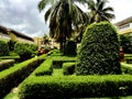 Rose garden arches and path. Royalty Free Stock Photo