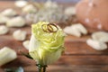 Beautiful rose with golden rings on wooden table, closeup Royalty Free Stock Photo