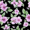Beautiful rose hip flowers with leaves on black background. Seamless floral pattern. Watercolor painting. Royalty Free Stock Photo