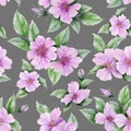 Beautiful rose hip flowers with leaves on gray background. Seamless floral pattern. Watercolor painting. Royalty Free Stock Photo