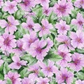 Beautiful rose hip flowers with leaves in seamless pattern. Colorful floral background. Watercolor painting. Royalty Free Stock Photo
