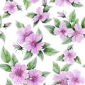 Beautiful rose hip flowers with leaves on white background. Seamless floral pattern. Watercolor painting. Royalty Free Stock Photo