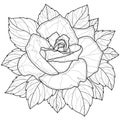 Beautiful rose with leaf around.Coloring book antistress for children and adults