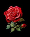 Rose Needlepoint Illustration