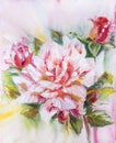 Beautiful rose, oil painting