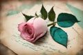 beautiful rose on old paper backgroundbeautiful rose on old paper backgroundvintage paper with rose on old wooden table