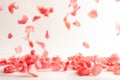 Beautiful rose petals falling Royalty Free Stock Photo