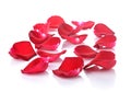 Beautiful rose petals on white background Royalty Free Stock Photo