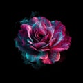 Beautiful Rose In Red Purple Fire On Black Background. Generative AI Royalty Free Stock Photo