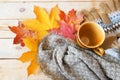 Autumn fall leaves, hot steaming cup of morning coffee and a warm scarf on wooden background, Royalty Free Stock Photo