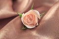 Beautiful rose on shiny fabric Royalty Free Stock Photo