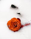 Beautiful rose, white background and some paint to complete the picture