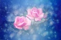 Beautiful roses artistic dreamy background with bokeh lights