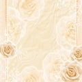 Beautiful Roses Background Royalty Free Stock Photo