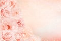 Beautiful roses flower border in soft pink, peach vintage color tone with glitter romance background for valentine or wedding,