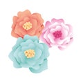 Beautiful roses flowers garden decorative icon