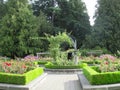 Beautiful Roses Flowers At The Vancouver Park Rose Garden In September 2019