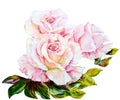 Beautiful Roses, oil painting on canvas