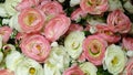 beautiful roses pink and coral white floral background valentine and women day bouquet copy space