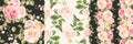 Beautiful roses seamless pattern Royalty Free Stock Photo