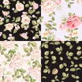 Beautiful roses seamless pattern Royalty Free Stock Photo