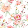 Beautiful roses seamless pattern Royalty Free Stock Photo