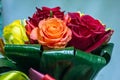 Beautiful roses, used in love or friendship, are appreciated by women certainly being beautiful like them.