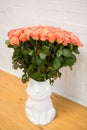 Beautiful roses in a vase-cat Royalty Free Stock Photo