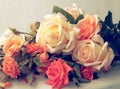 Beautiful Roses.Vintage styled Royalty Free Stock Photo