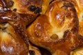 Beautiful rosy baked bakery products with raisins