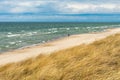 Beautiful rough blue sea with waves and sandy beach with reeds and dry grass Royalty Free Stock Photo