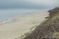 Beautiful rough grey sea with waves, dramatic cloudy grey sky with reeds, branches and dry grass among the dunes Royalty Free Stock Photo