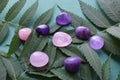 Beautiful round amethyst stones and rose quartz with a green branch on a green background. Healing crystals Royalty Free Stock Photo