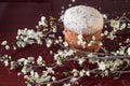 Beautiful round Easter cake. Confectionery covered with sweet glaze and white flowers on twigs