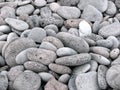 Beautiful round gray stones on a beach