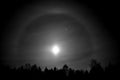 Beautiful round ring around a full moon behind dark spruce tree forest at night time