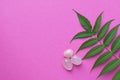 Beautiful round rose quartz stones with green leaves on a pink background. Healing crystals. Copy space, flat lay, top view