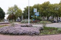 Beautiful Roundabout along a Street with Trees and Flowers in Zaandam Netherlands