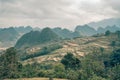 Rice paddys fill this Vietnam scene
