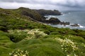 Coastal view on island of Skomer in Pembrokeshire