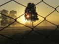 Beautiful rugged sunrises with fog