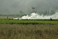 Rice plantations and people who are working in the fields.