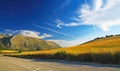 Beautiful rural calm landscape, empty road, agriculture field, mountain - Montes de Malaga, Spain